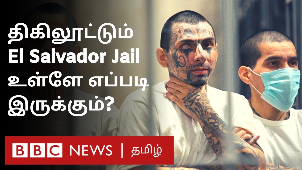 Inside El Salvador Mega Jail: ஒரே சிறையில் 156 கைதிகள்... 40,000 Prisoners-ஐ சமாளிப்பது எப்படி?
