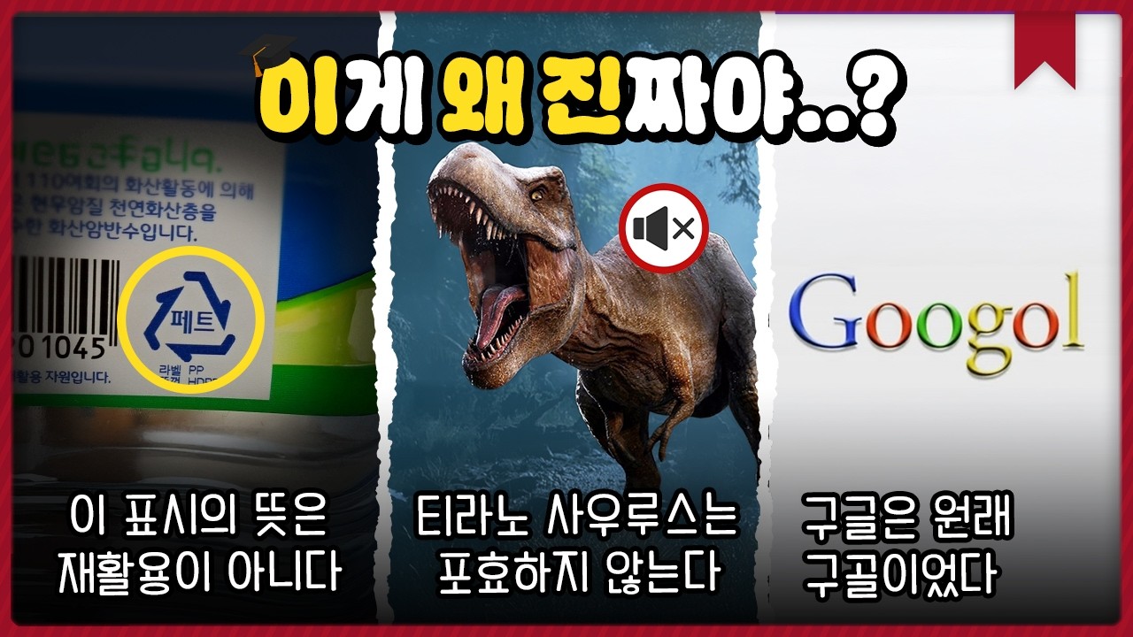 이게 왜 진짜야..? 기존의 상식을 완전히 깨버리는 이왜진 백과사전 #3