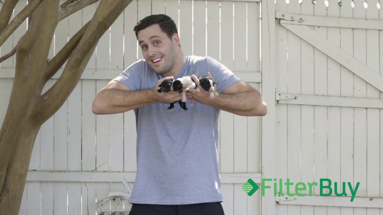 FilterBuy. Quality air  filters for less. Breathe Better!