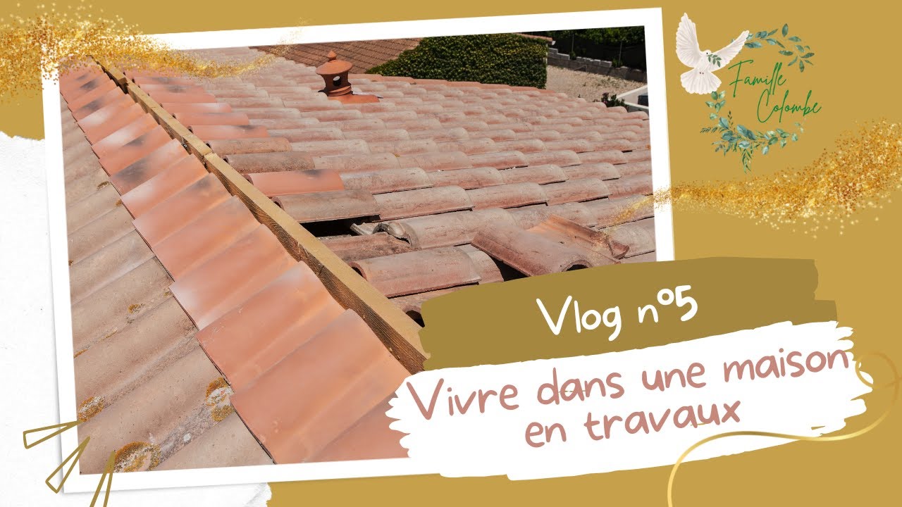 On démarre les travaux (toiture et cloisons - Épisode 5