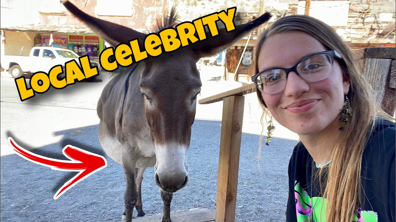 The Wild West Town Where Donkeys Roam Free: Oatman, Arizona