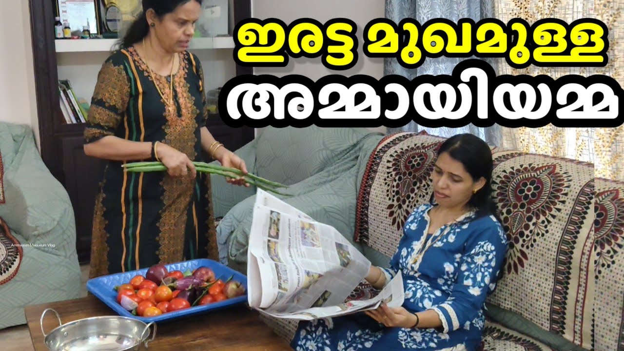 ഇരട്ട മുഖമുള്ള അമ്മായിയമ്മയുടെ  ശരിയായ നിറം മരുമകൾ തിരിച്ചറിഞ്ഞപ്പോൾ സംഭവിച്ചത്!! Short film 