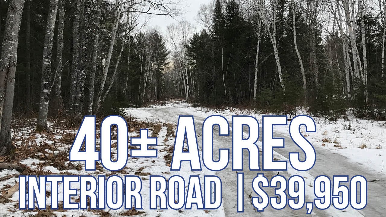 40± Acres For $39,950 | Maine Real Estate