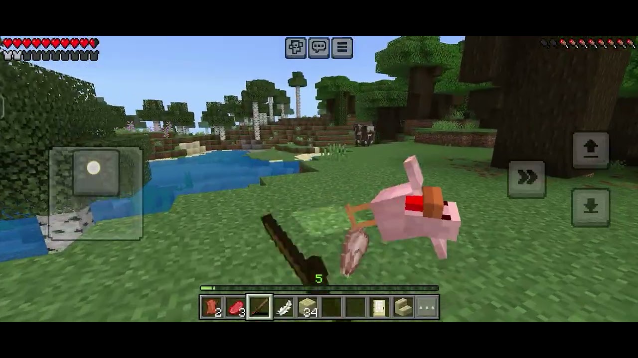 Jugando Minecraft 😃