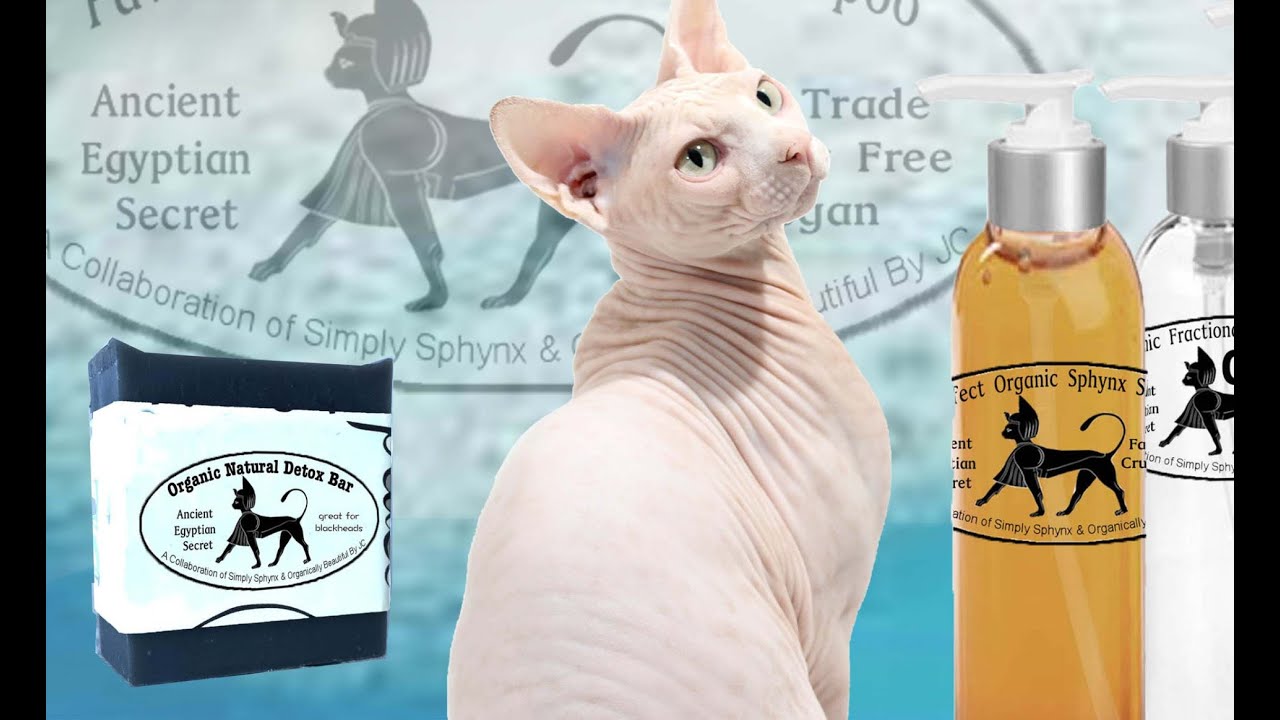 Simply Sphynx Cat Spa Day 3 Bath with Simply Sphynx Skin System - new branding and bottles in store!