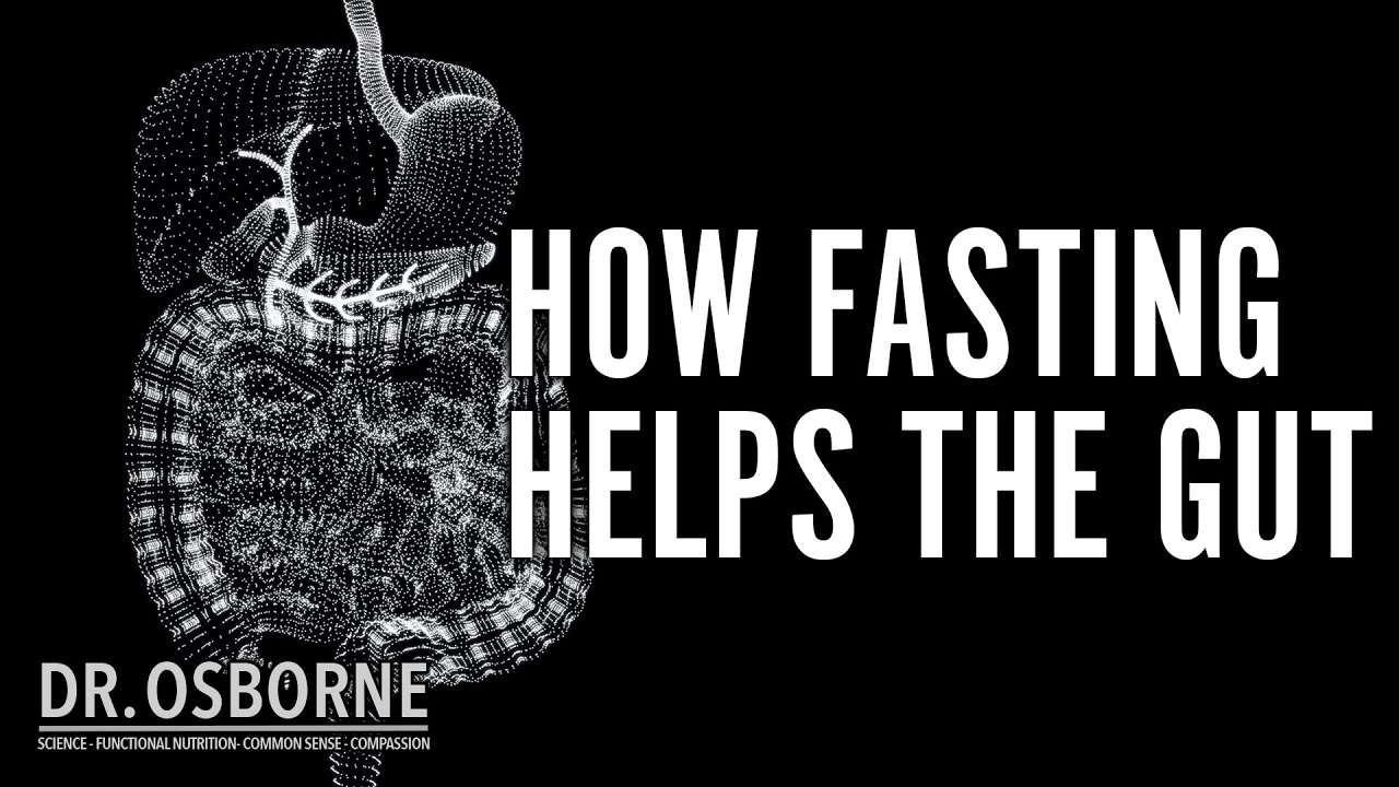 How fasting helps the gut