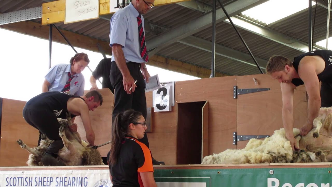 Black Isle 2014 Senior Sheep shearing Final - WATCH IN HD