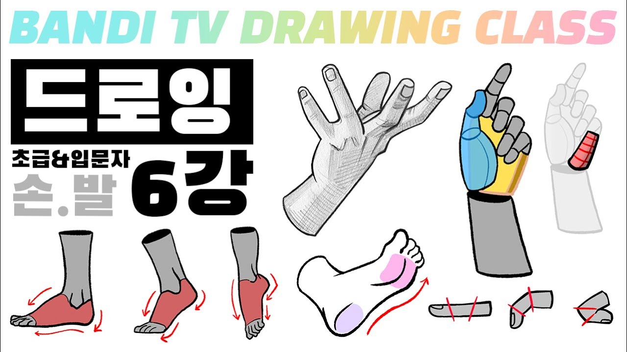반디쌤과 함께하는 인체드로잉 6강✍ (손&발) How To Draw Figures / 사람그리는 법