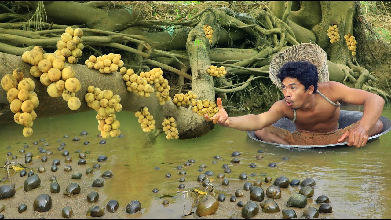 find food meet langsat fruit.eating langsat fruit delicious