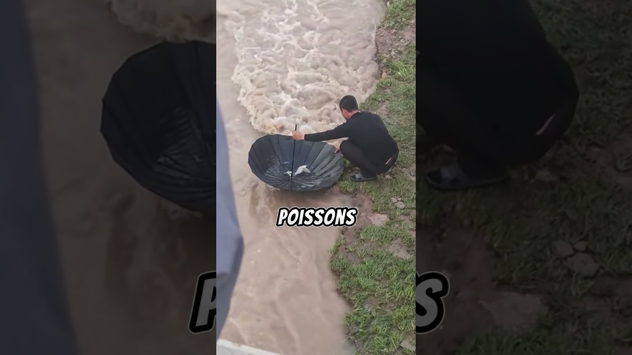 Un Homme Utilise son Parapluie pour P&ecirc;cher des Poissons #fishing #p&ecirc;cheur #p&ecirc;che #techniquedep&ecirc;che