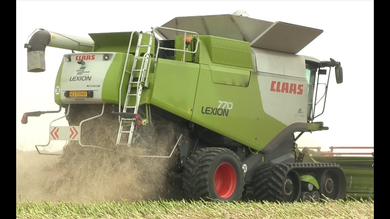 Landb.Westerhof. Koolzaad dorsen met CLAAS LEXION 770