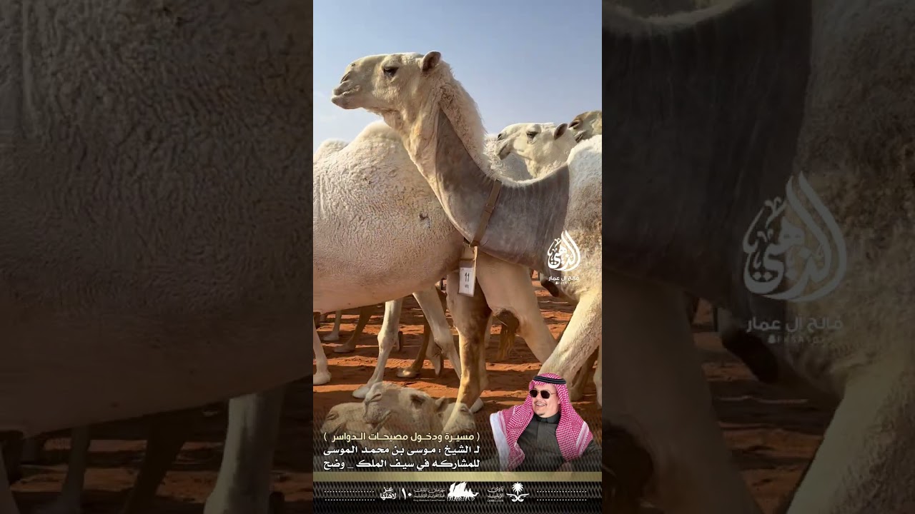 مصيحات-الشيخ/موسى بن محمد الموسى-سيف الملك وضح