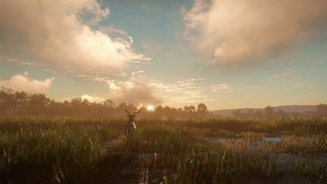 Way of the Hunter изучаю карту Трансильвания  #shorts