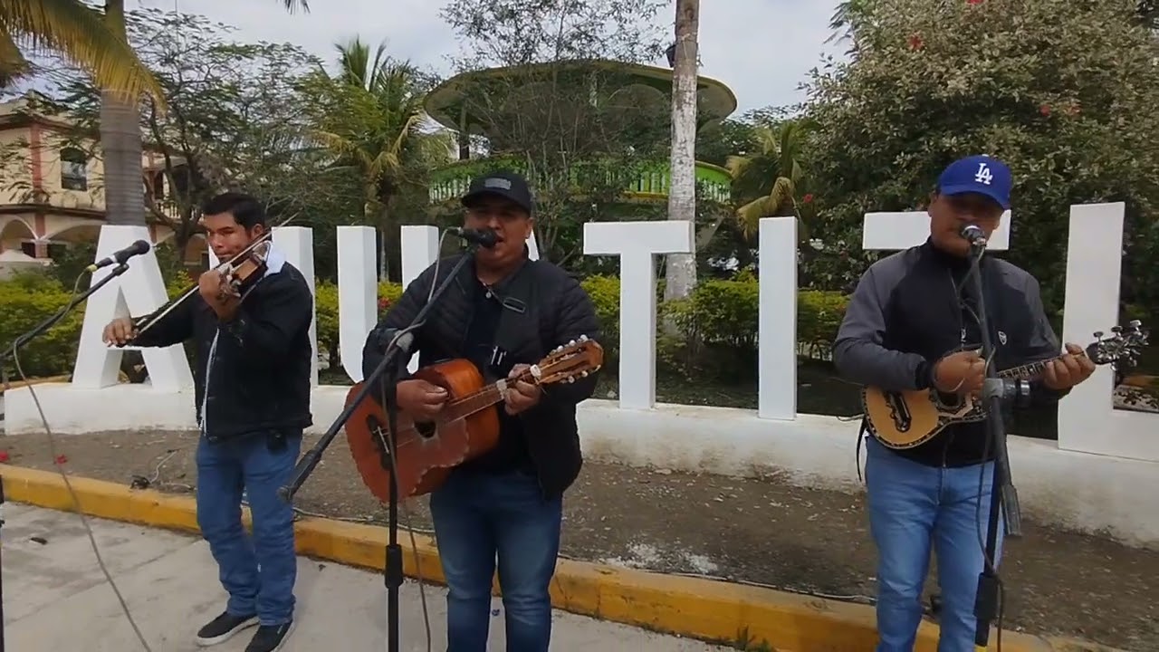 Son Carnavalero - UNICOS DEL SON 🔥