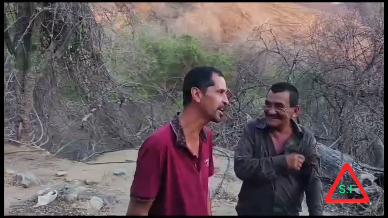 pelon de los istosos de cosala y los ayonez . arrancame el corazon