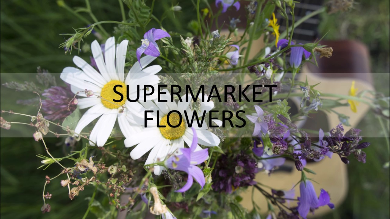 Supermarket flowers – Cover by Singiane (audio)