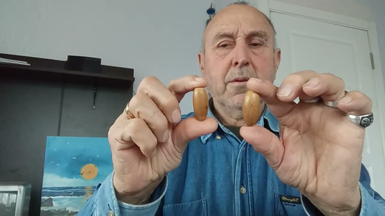 71 Milyon Kutu Antidepresan Nereye Gidiyoruz ?