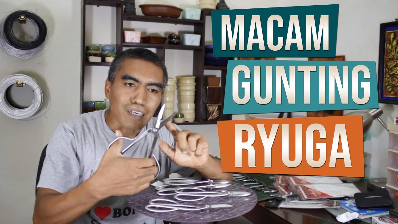 Mengenal Macam Gunting Bonsai Ryuga