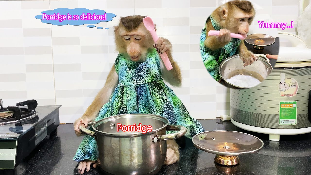 Monkey Lyly felt hungry and ran to the kitchen to find food while her mother was away