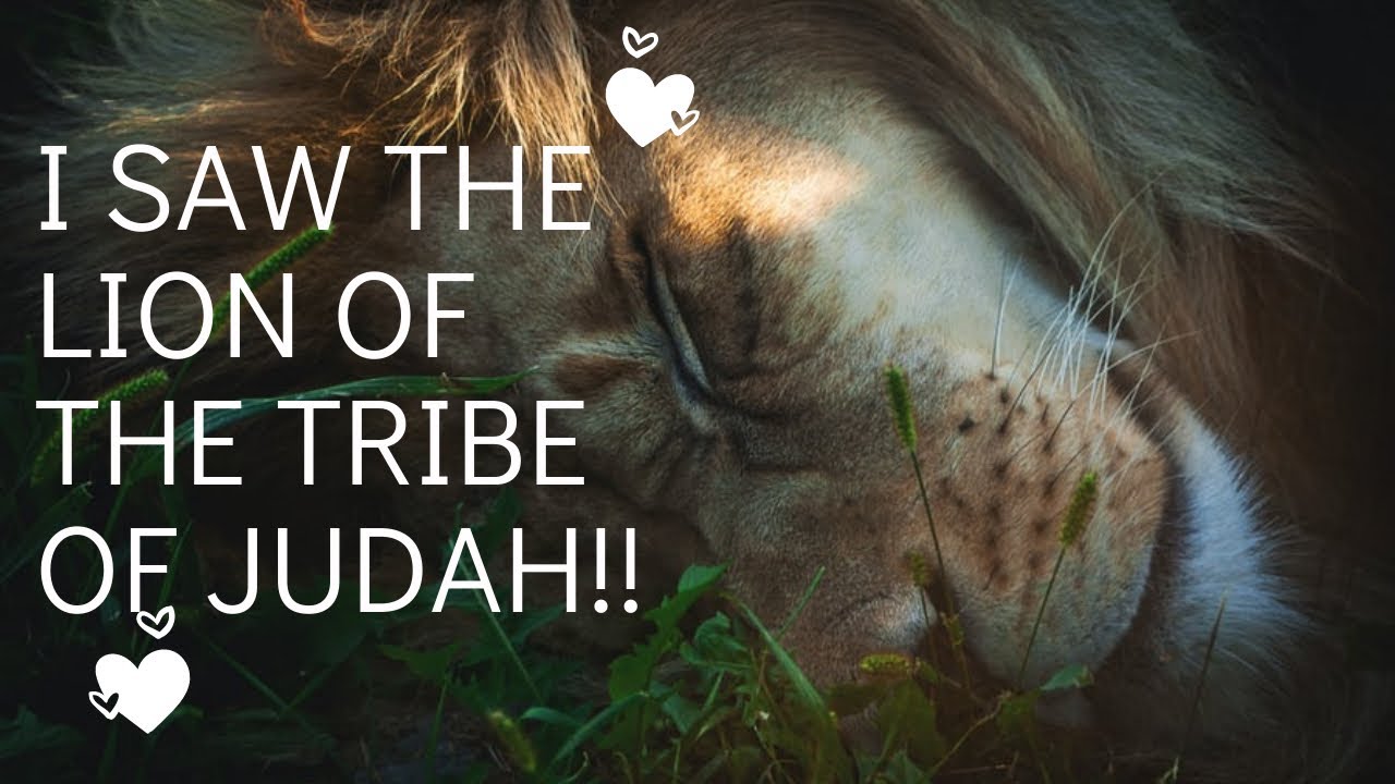 OPEN VISION OF THE LION OF JUDAH...HE SAID HE IS POURING OUT HIS SPIRIT NOW!!!