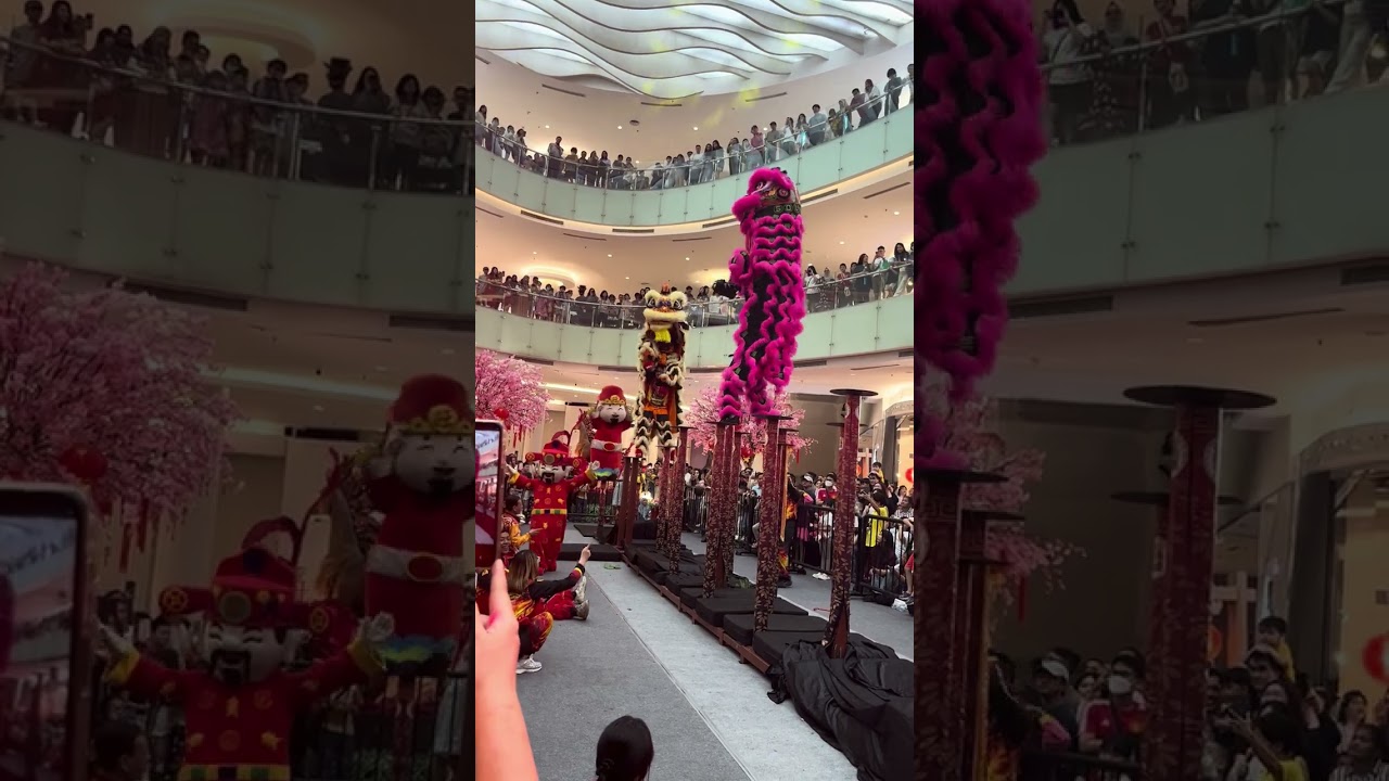 POV: Barongsai update lagu  viral tik tok, auto ikut goyang 💃🏻💃🏻pun jogetnya tor monitor lapor ketua
