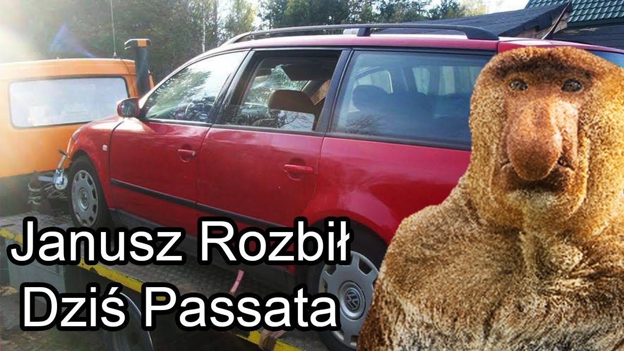 Janusz Rozbił Dziś Passata ( Dmuchawce Latawce Wiatr Parody)