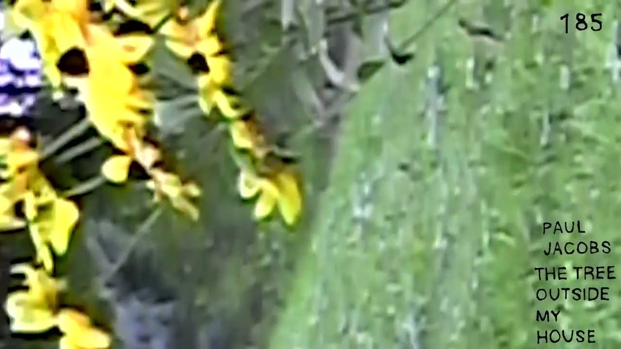 Paul Jacobs - The Tree Outside My House (Official Audio)
