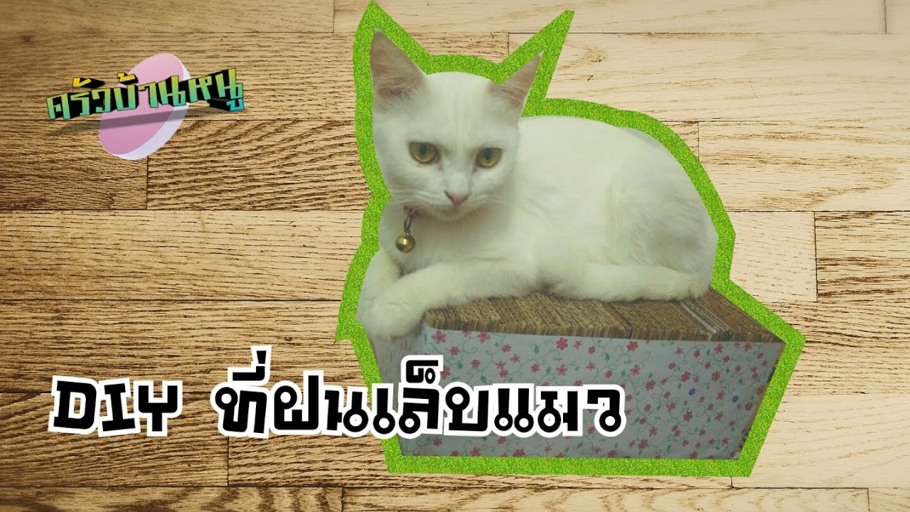 ที่ฝนเล็บแมว ที่ลับเล็บแมว | ครัวบ้านหนู DIY