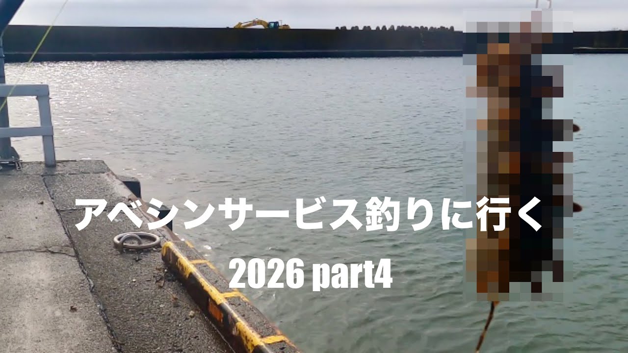 アベシンサービス釣りに行く 2026 part4 続、漁港でジギングしてたら⭕️⭕️⭕️が釣れちゃった！？