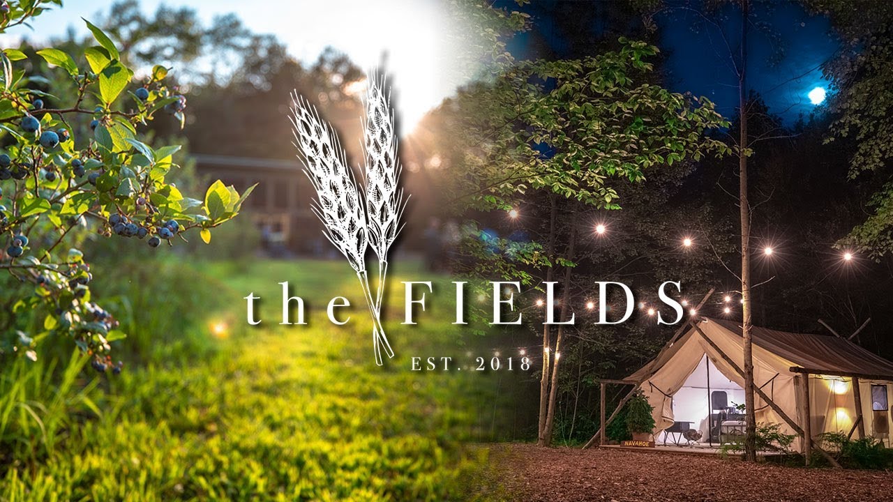 The Fields of Michigan | Luxury Glamping Experience in a Blueberry Field