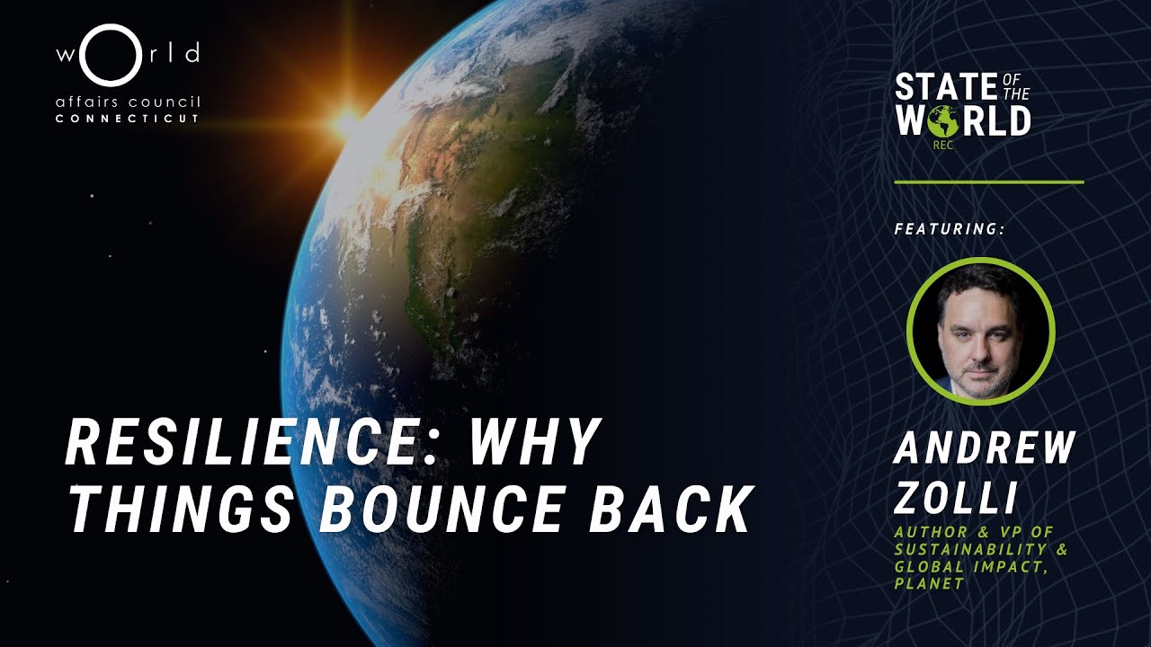 Resilience: Why Things Bounce Back