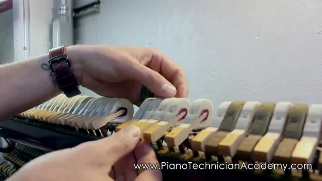 How to Install New Piano Hammers - How to replace piano hammers