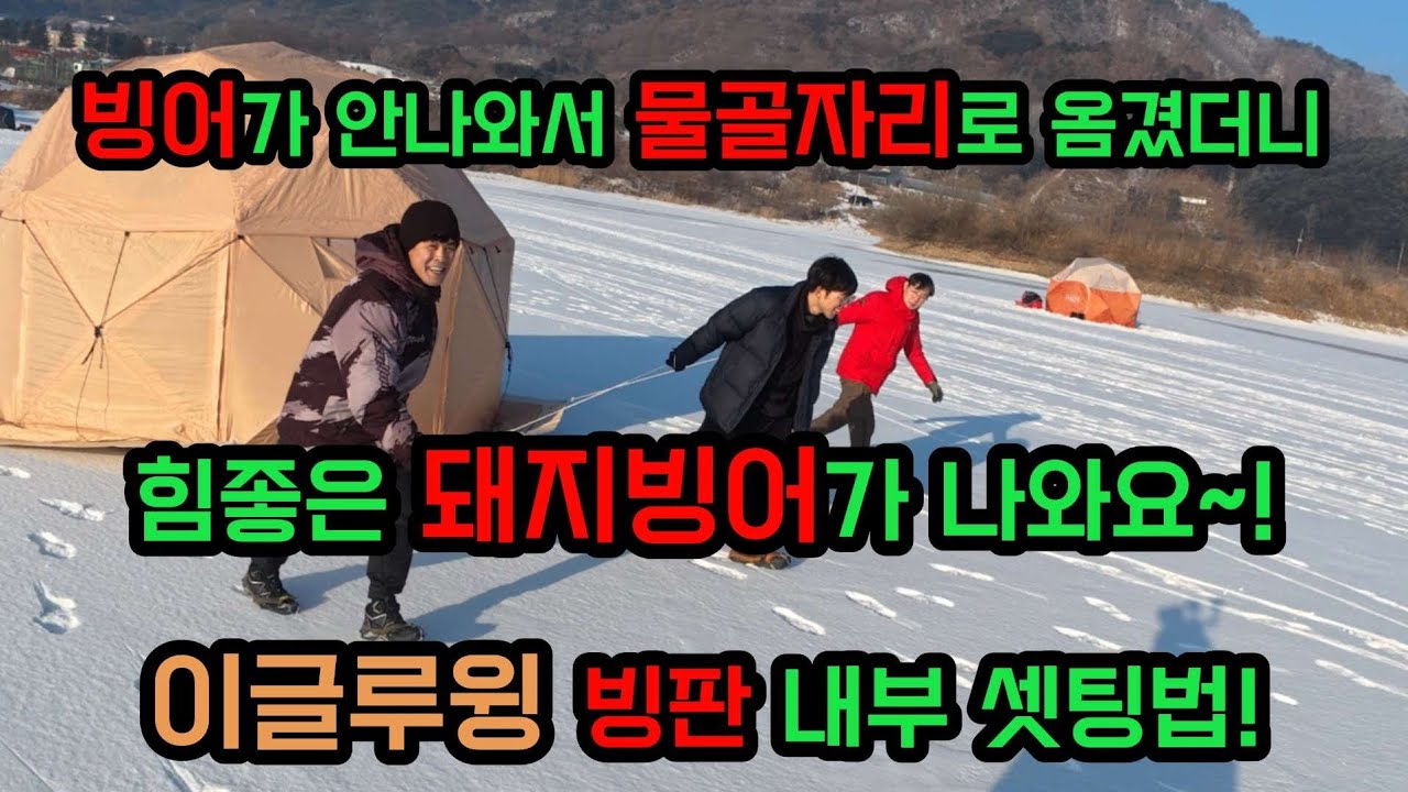 25년 1월 10일~ 12일 손맛 끝내주는 돼지빙어 잡고 왔습니다. #즐빙 #유에스스포츠 #참낚시 #이글루윙 빙판 내부 셋팅법 #빙어낚시 #빙어