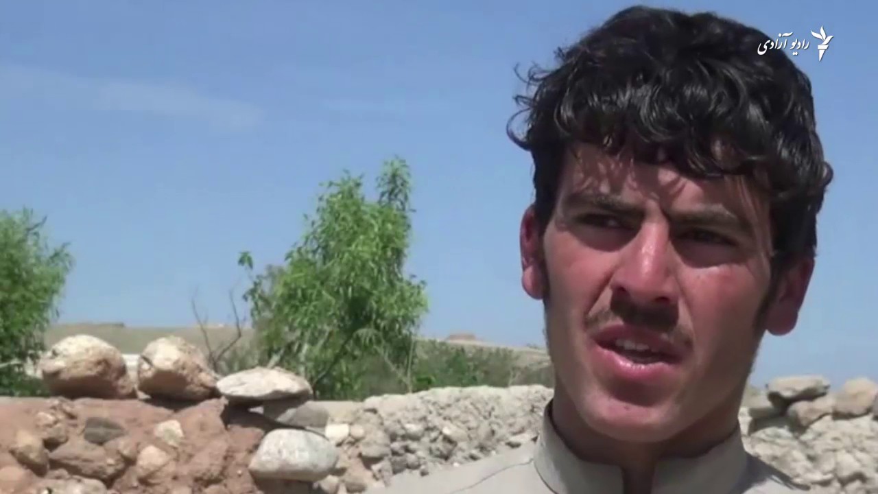 شینواری: مامند دره از وجود داعشیان پاکسازی شده‌است