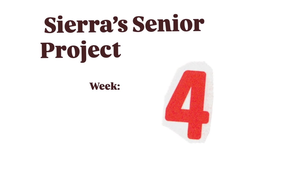 senior project-week 4
