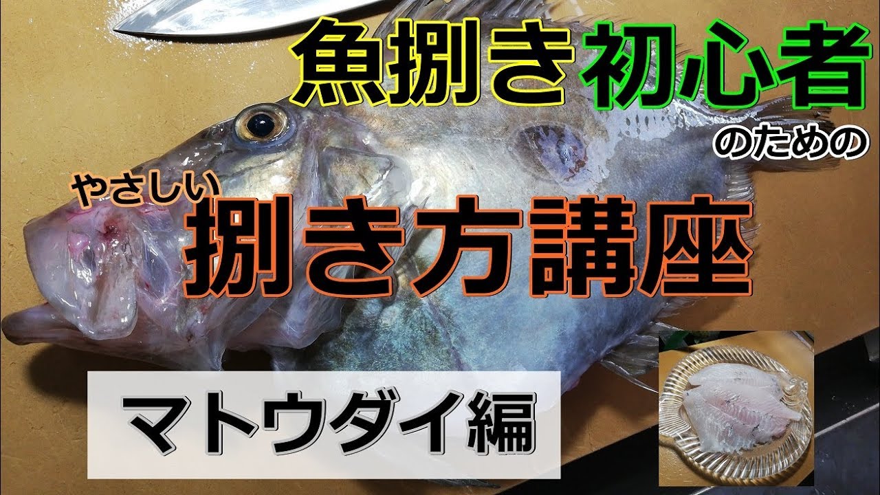 マトウダイの捌き方を初心者向けに解説します【魚屋によるさばきかた】
