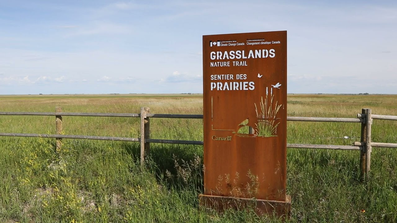 Grasslands Nature Scene