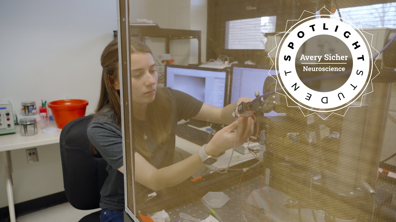 Avery Sicher Uses Patch-Clamp Electrophysiology to Study the Effects of Alcohol on the Brain