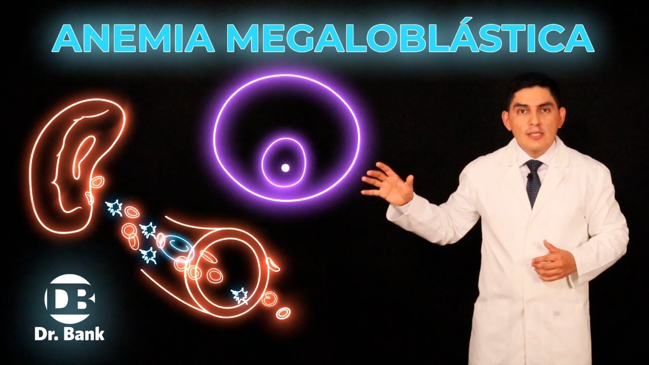 Anemia Megaloblástica | Etiología - Fisiopatología