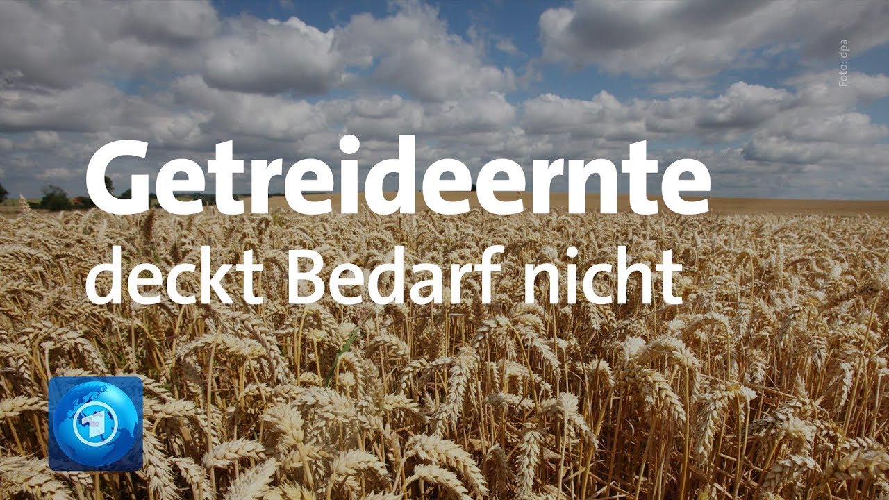 Verbrauch auf H&ouml;chststand wegen Tierfutter und Biokraftstoffen
