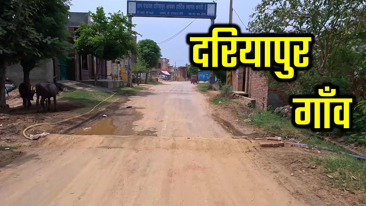DARIYAPUR VILLAGE दरियापुर गाँव | Dariyapur Village Madlauda Panipat Haryana | Dariyapur Ki Video