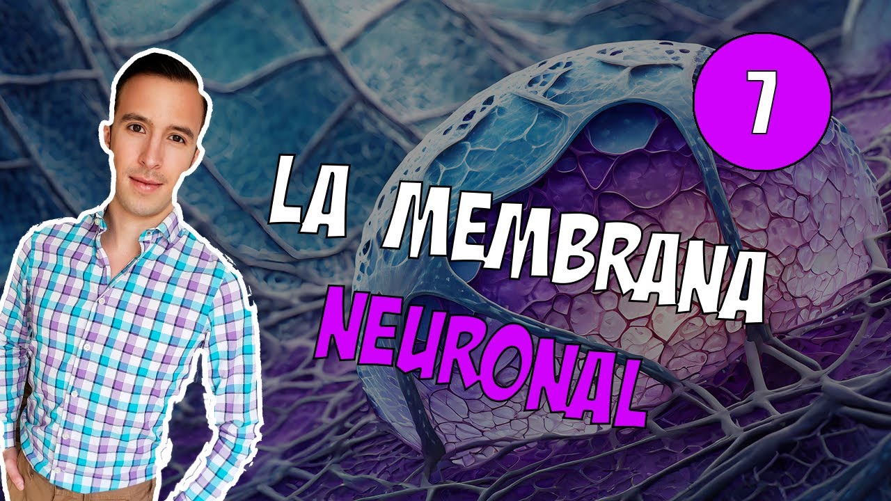 07. La Membrana Neuronal