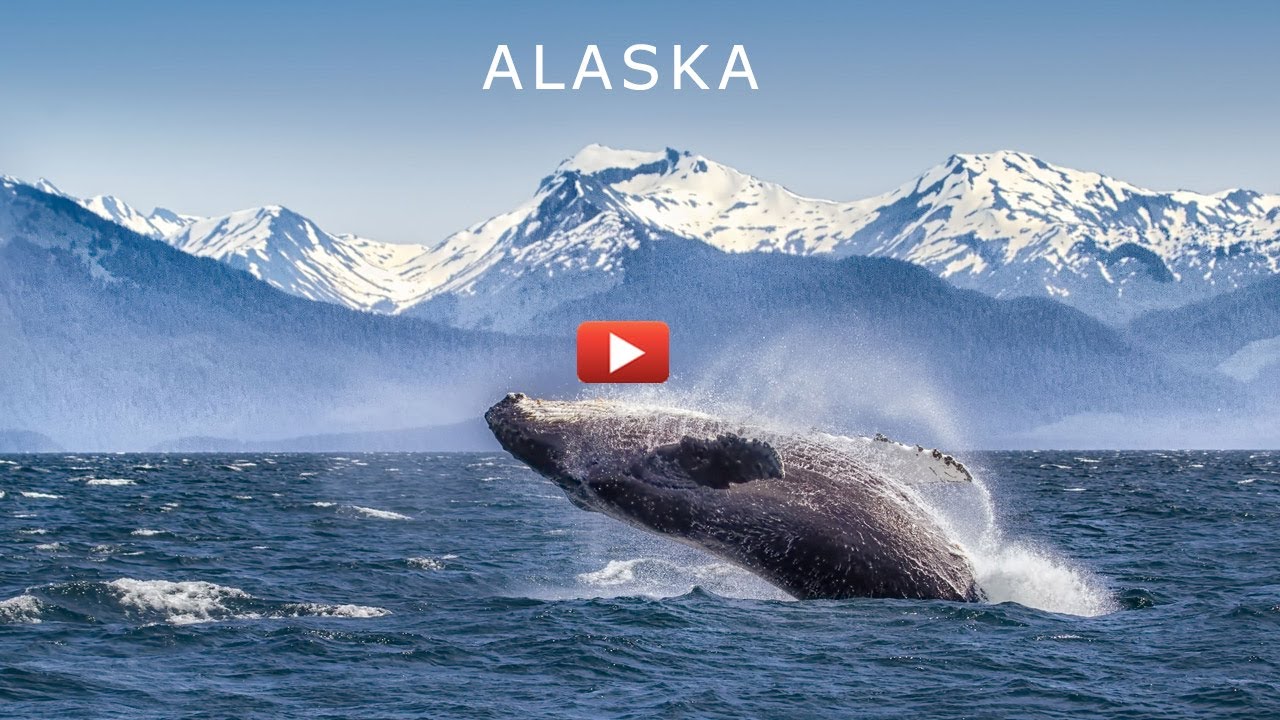 Holland America Line Cruise Alaska Land+Sea Journeys - STIC Travel Group
