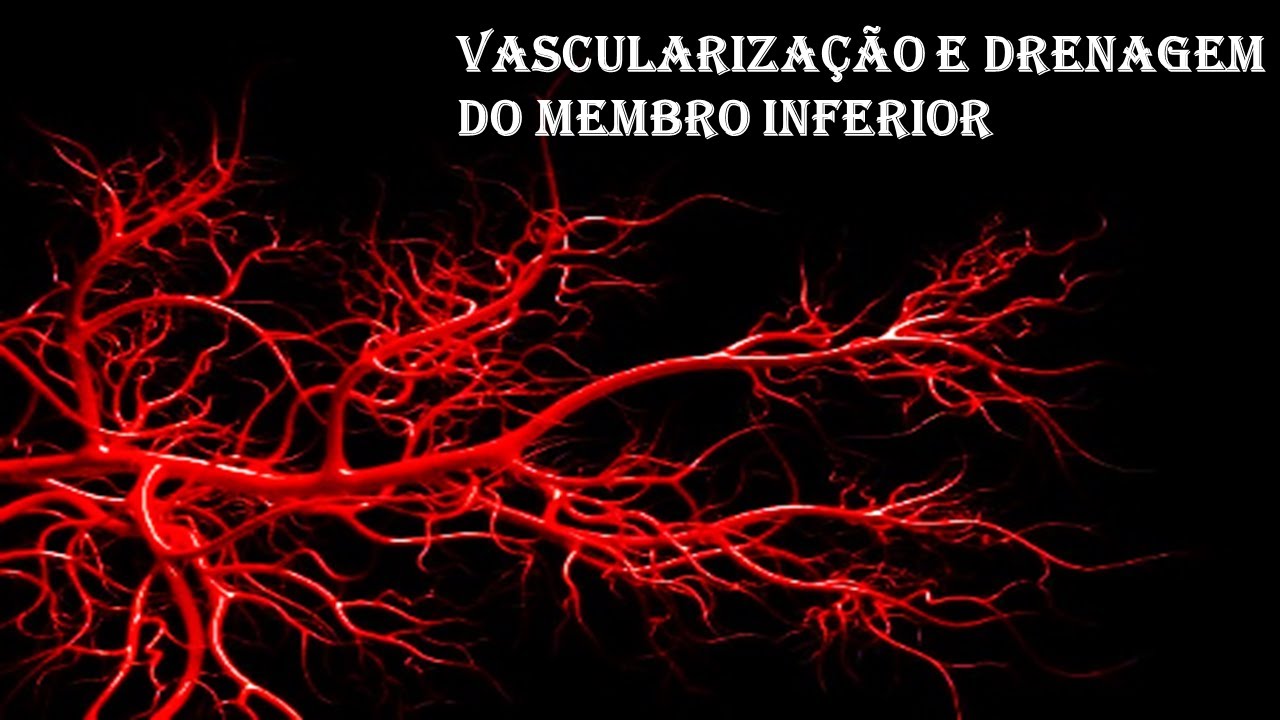 VASCULARIZAÇÃO E DRENAGEM DO MEMBRO INFERIOR