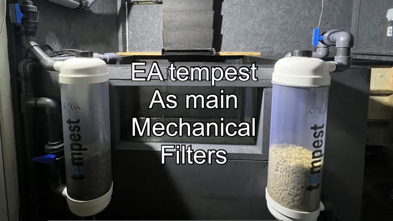 EA TEMPEST as main mechanical filter with a bakki shower for the bio #koi #filter #koipond #fish