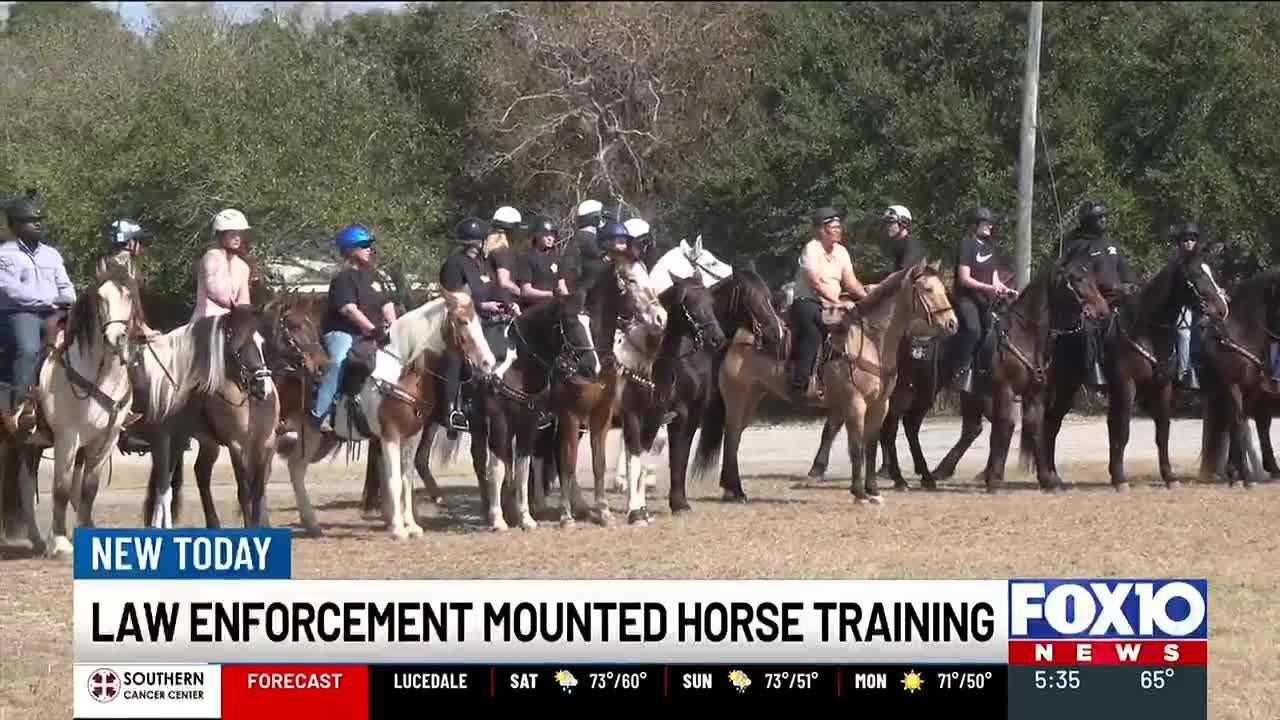 Helicopters and street sweepers: Mounted police units train for Mardi Gras in Mobile