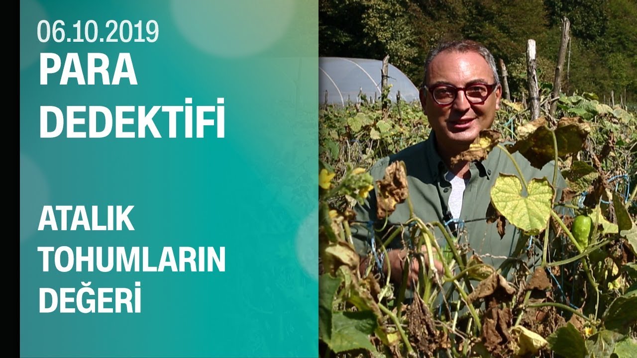 Cem Seymen, Cumhuriyetk&ouml;y'de atalık tohumun izini s&uuml;rd&uuml; - Para Dedektifi 06.10.2019 Pazar