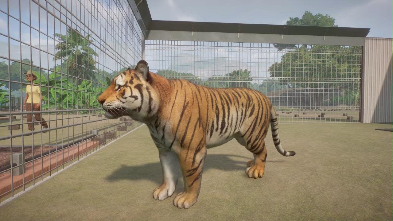 Planet Zoo: Bengal Tiger