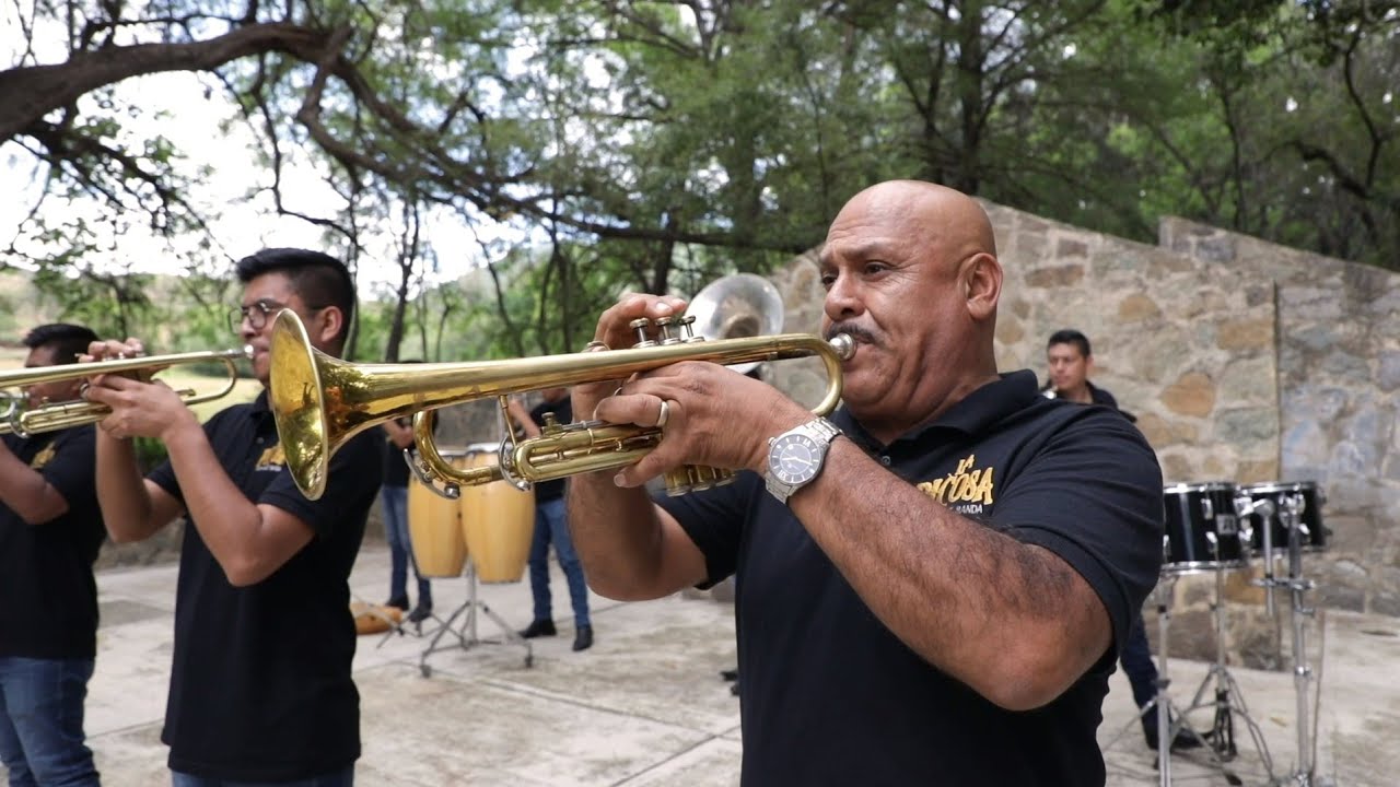Sones y Jarabes Mixes - La Picosa Hernández Banda (Video Oficial)