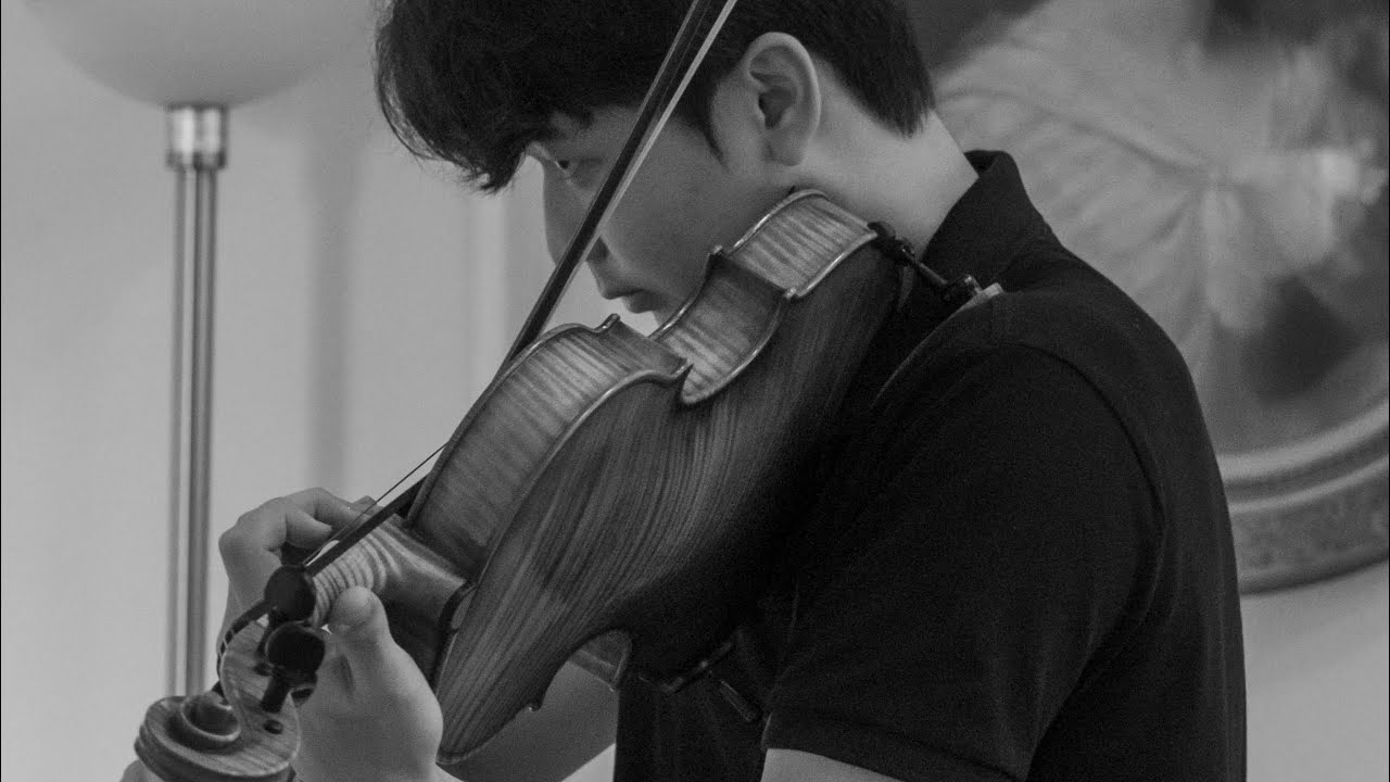 F.A. Hoffmeister viola concerto in D Major - l. Allegro con spirito